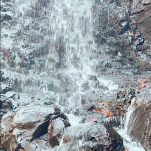 Meet your Posher, Adeline